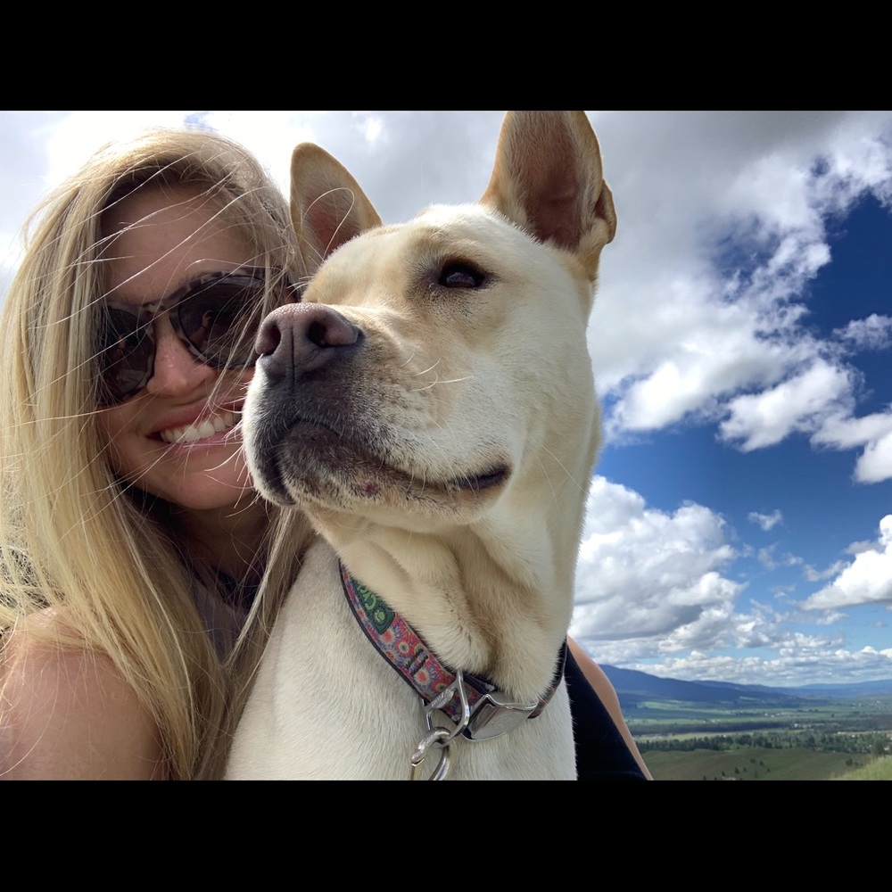 Meet your Posher, Morgan